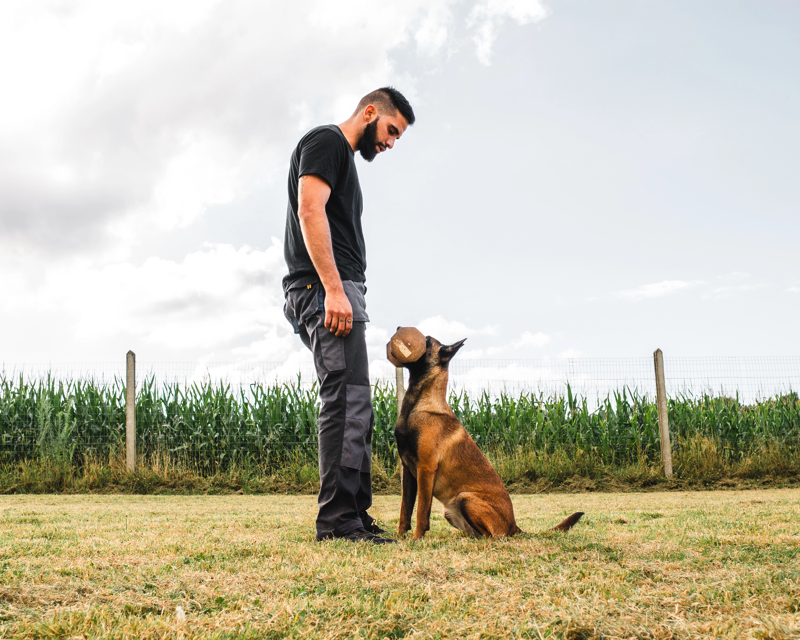 Educación canina personalizada
